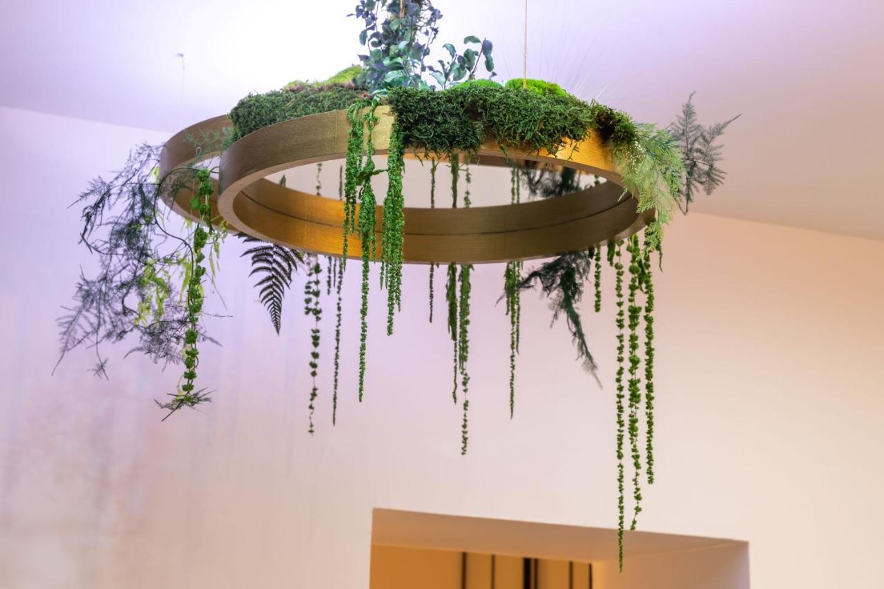 Appartement Le Cinq : Chic&cosy, Jardin Privatif *